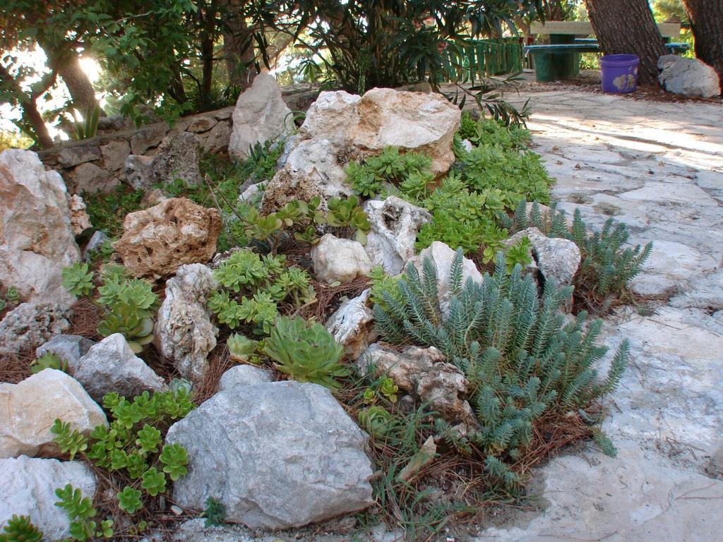 Apartment Gal Podgora Exterior photo