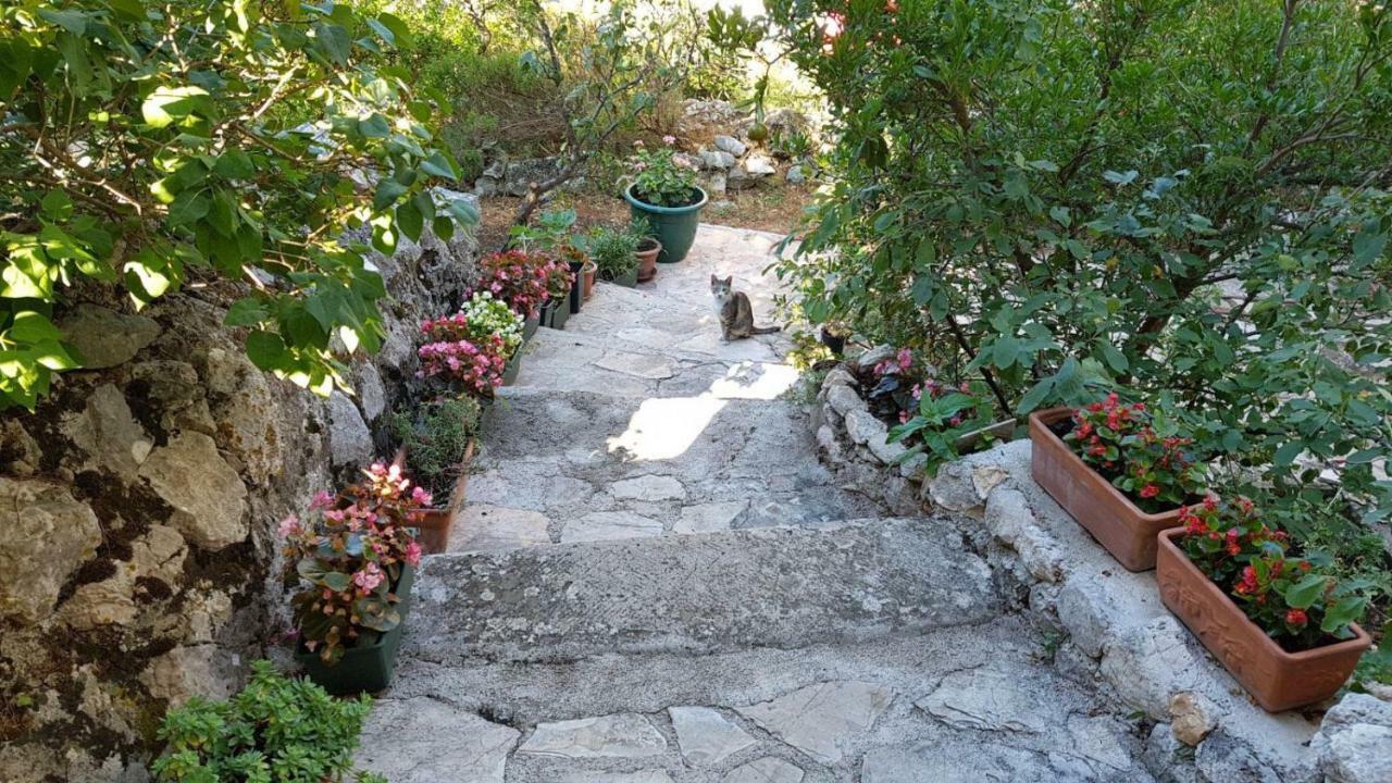 Apartment Gal Podgora Exterior photo
